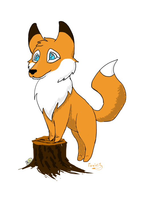 Fox Doodle