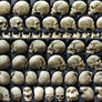 Different Angles of a Skull