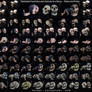 Different Angles of a Skull - Pairs and Poses