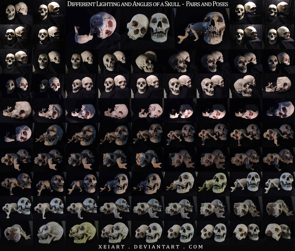 Different Angles of a Skull - Pairs and Poses by AshenCreative on ...