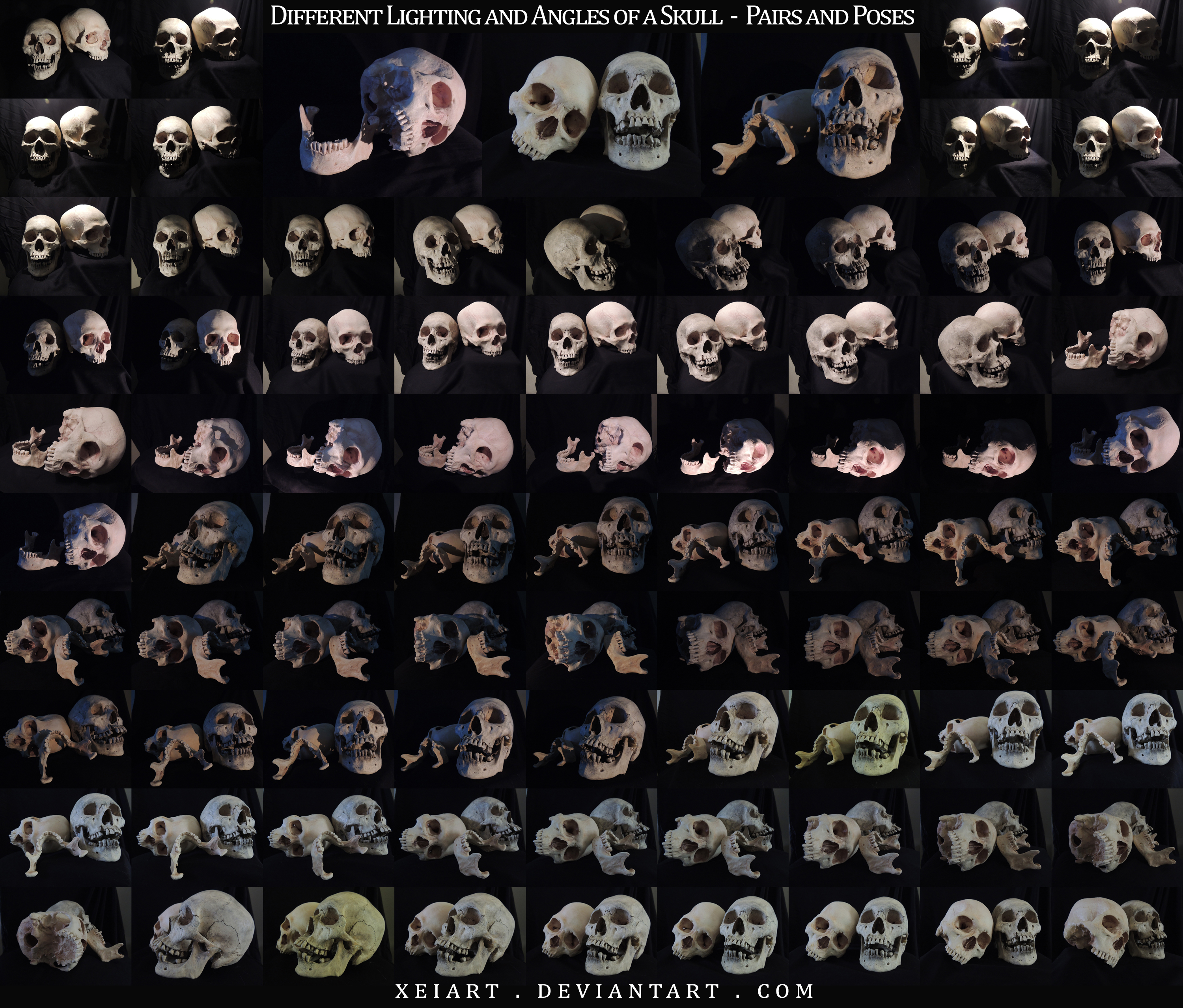 Different Angles of a Skull - Pairs and Poses