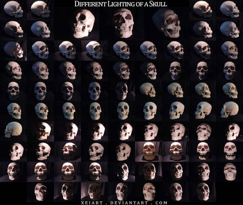 Different Lighting of a Skull