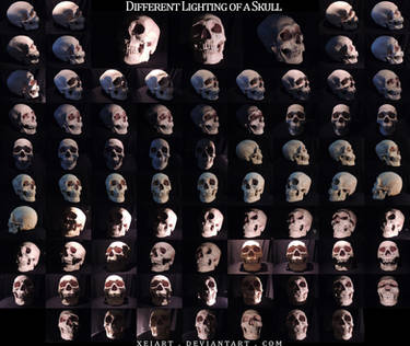 Different Lighting of a Skull