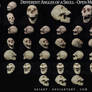 Different Angles of a Skull - Open Mouth REDONE