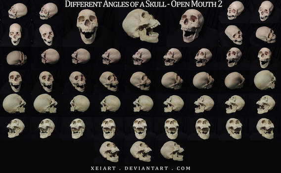 Different Angles of a Skull - Open Mouth REDONE