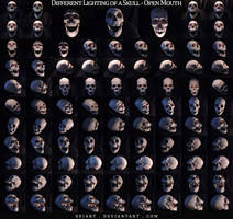 Different Lighting of a Skull - Open Mouth