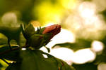New Life by Justateen10