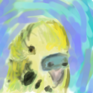 Green and Yellow Budgie