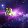 Cat in Space 1