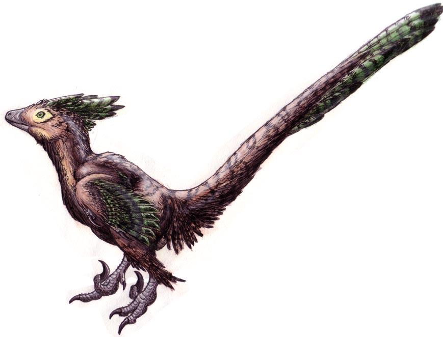 Deinonychus - birdlike