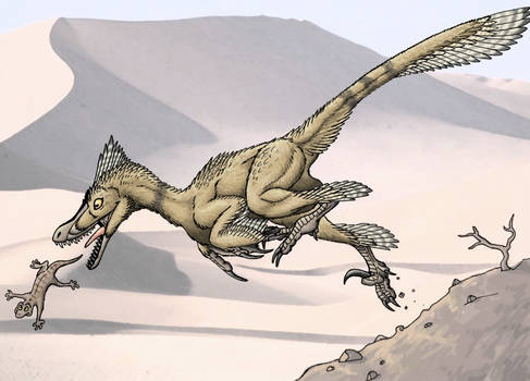 Acceloraptor