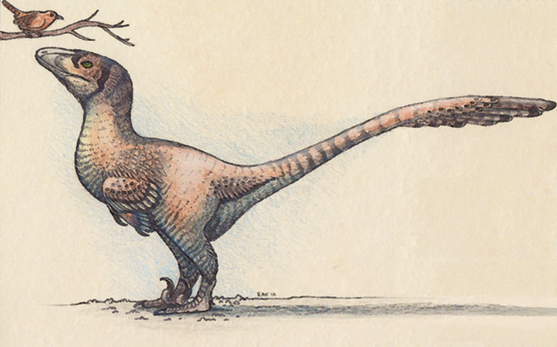 Deinonychus with Wren