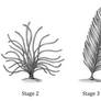 Feather Evolution