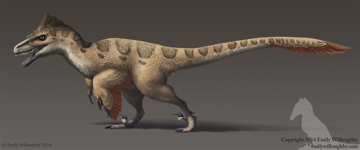 The More Accurate Utahraptor