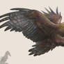 Golden Eagle