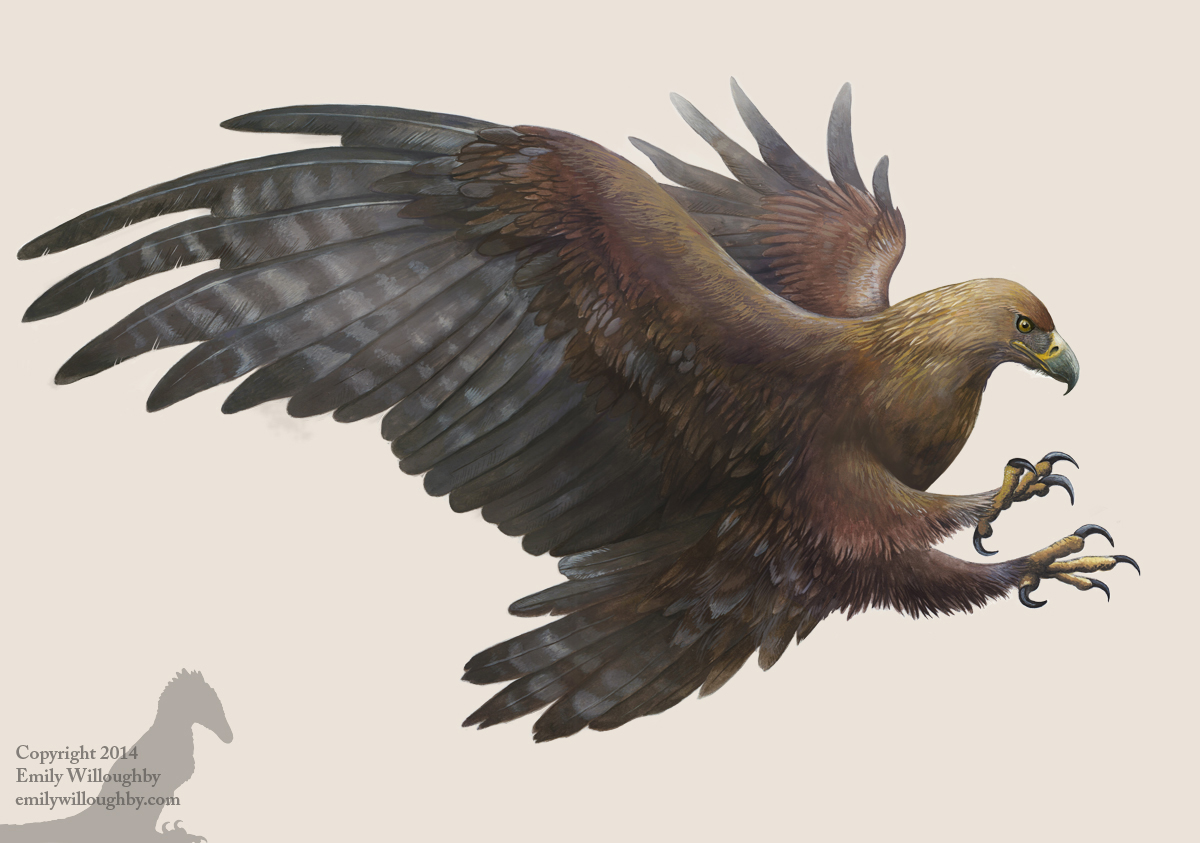 Golden Eagle