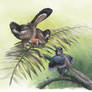 The Earliest Birds