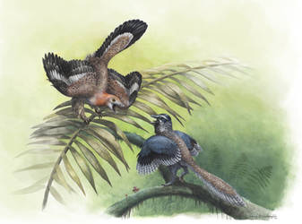The Earliest Birds