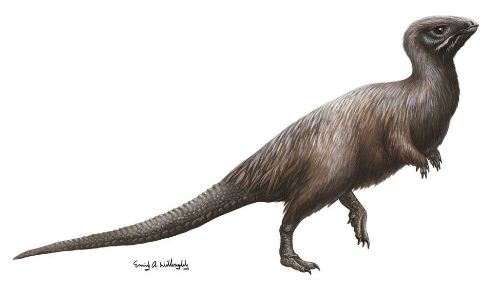 Kulindadromeus by EWilloughby