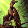 Archaeopteryx: Perched