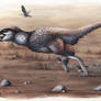 Dakotaraptor steini