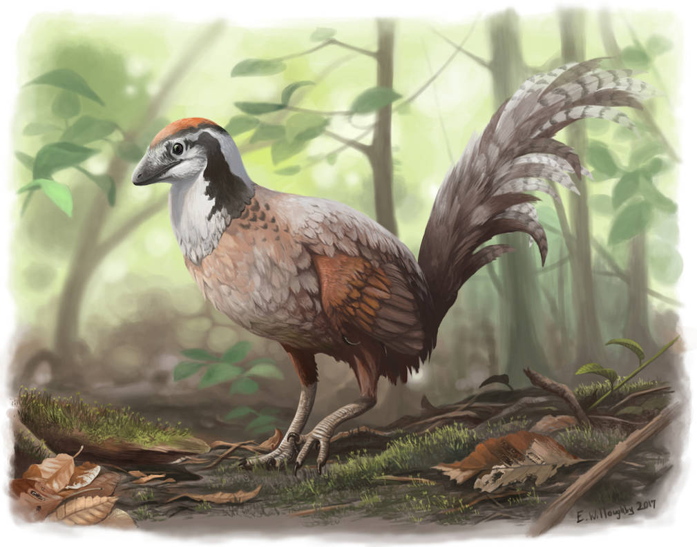 Jinfengopteryx Junglefowl by EWilloughby