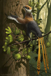 Epidexipteryx hui