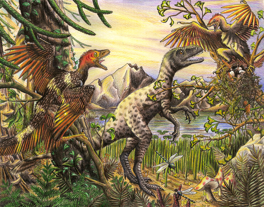 Dilong and Sinornithosaurus