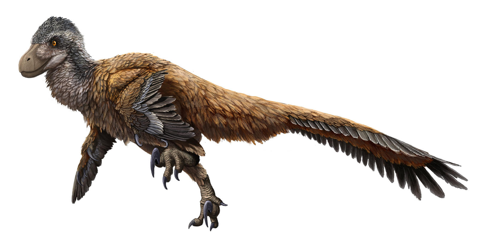Deinonychus 2023 By EWilloughby On DeviantArt deinonychus-2023-by-ewilloughby-on-deviantart