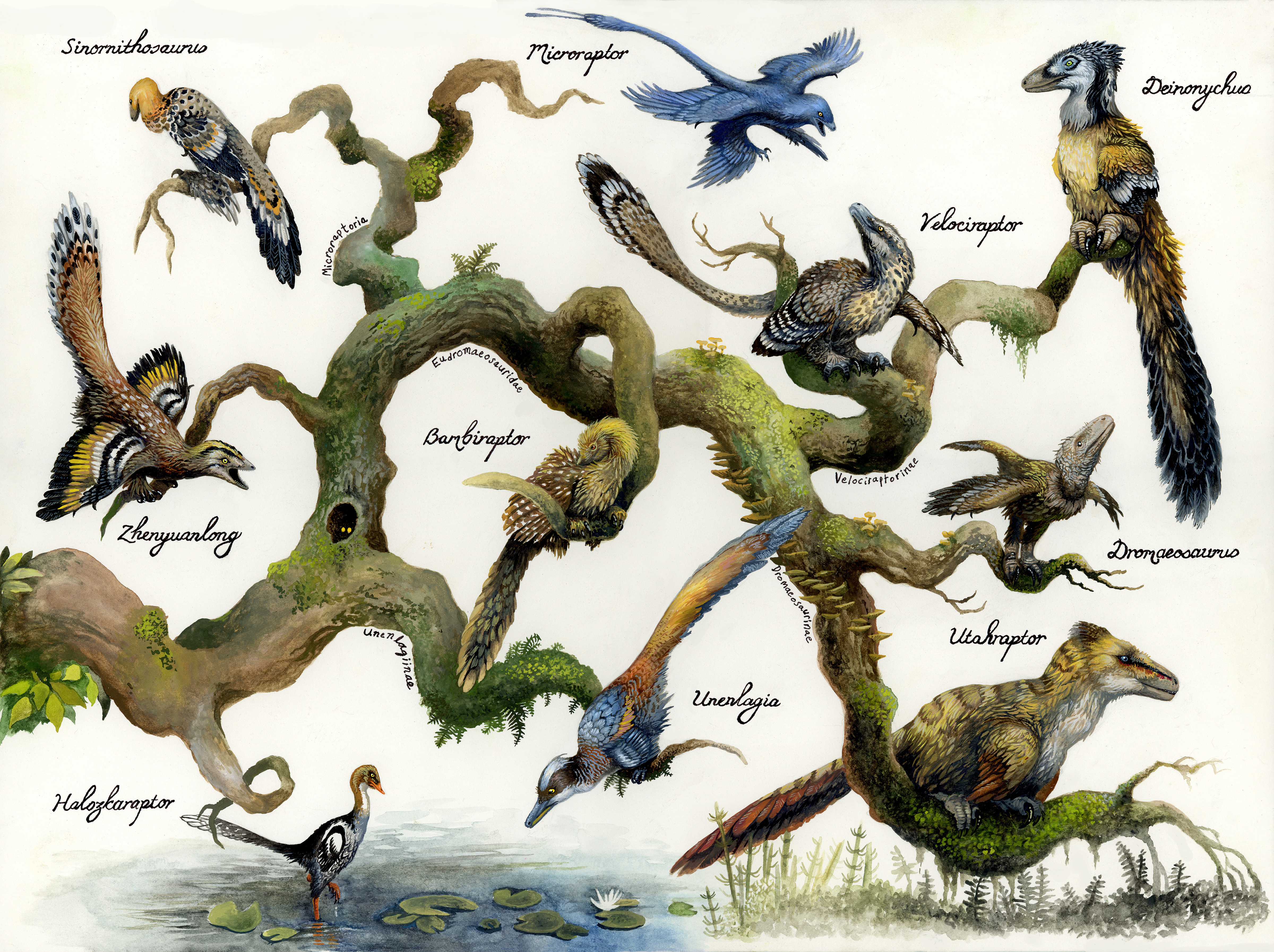 EWilloughby - Dromaeosaur Family Tree Sm