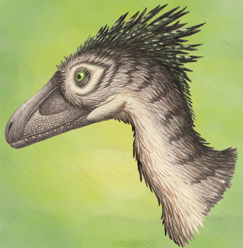 Deinonychus Portrait