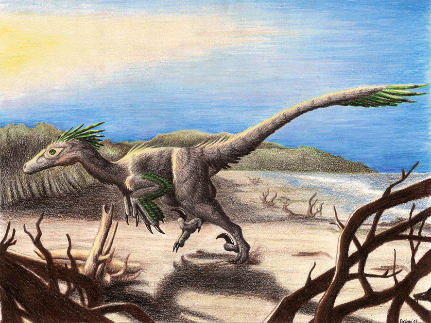 Deinonychus On the Beach