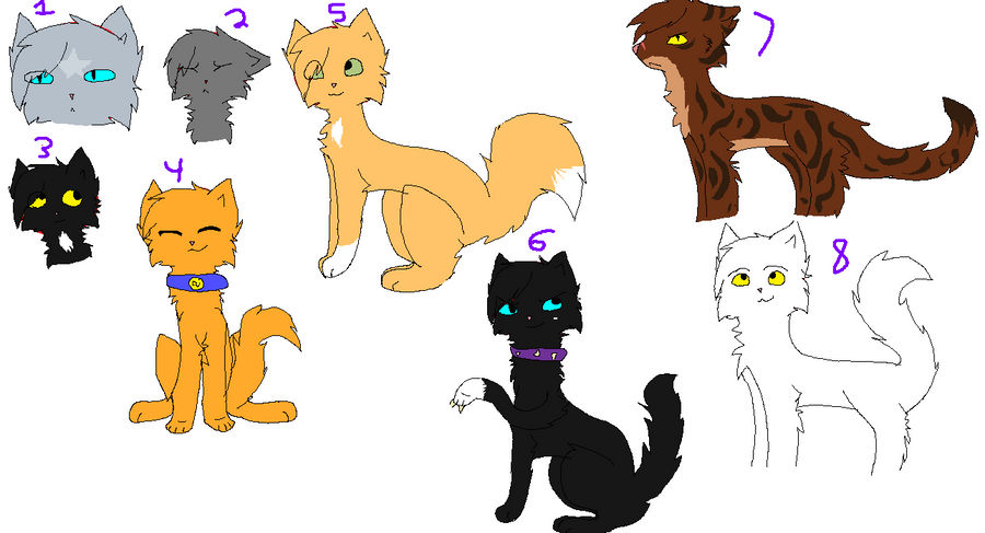 Warrior cats dump