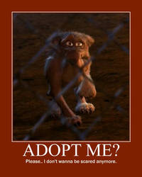 ADOPT ME?