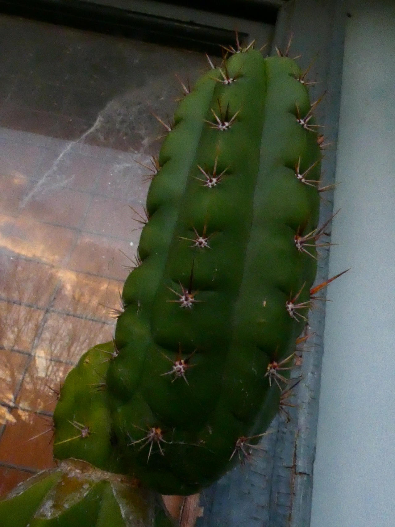 Notchy spikey dude by euphora on DeviantArt