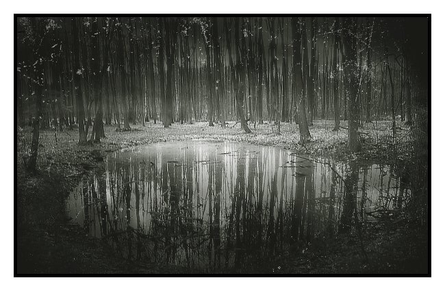 Water Mirror