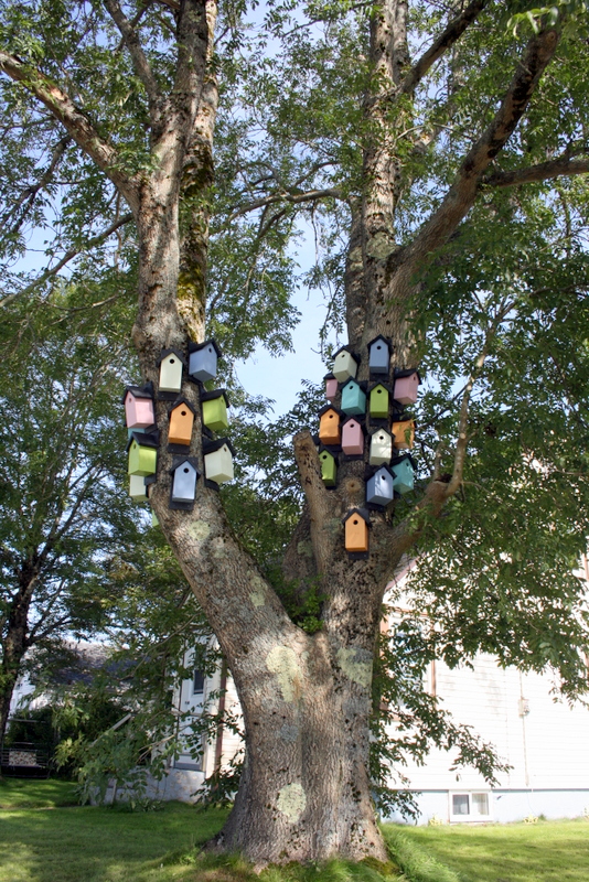 birdhouse tree # 3