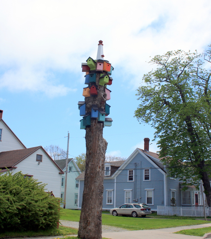 birdhouse tree # 1