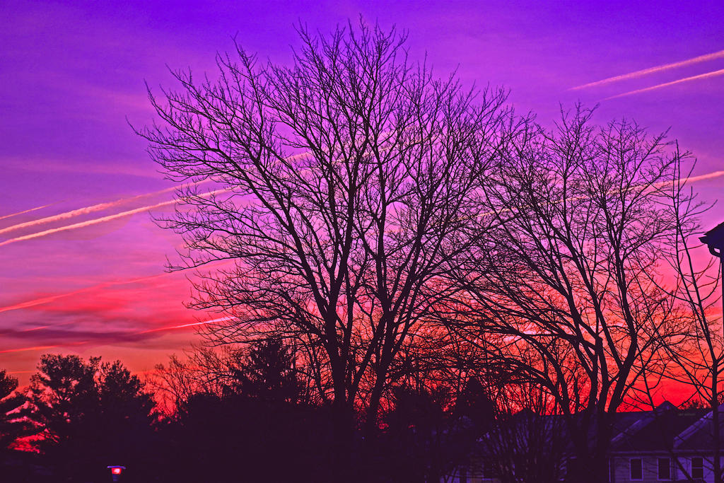 Simple Spring Sunset spring sunset by IWilsonArt on DeviantArt