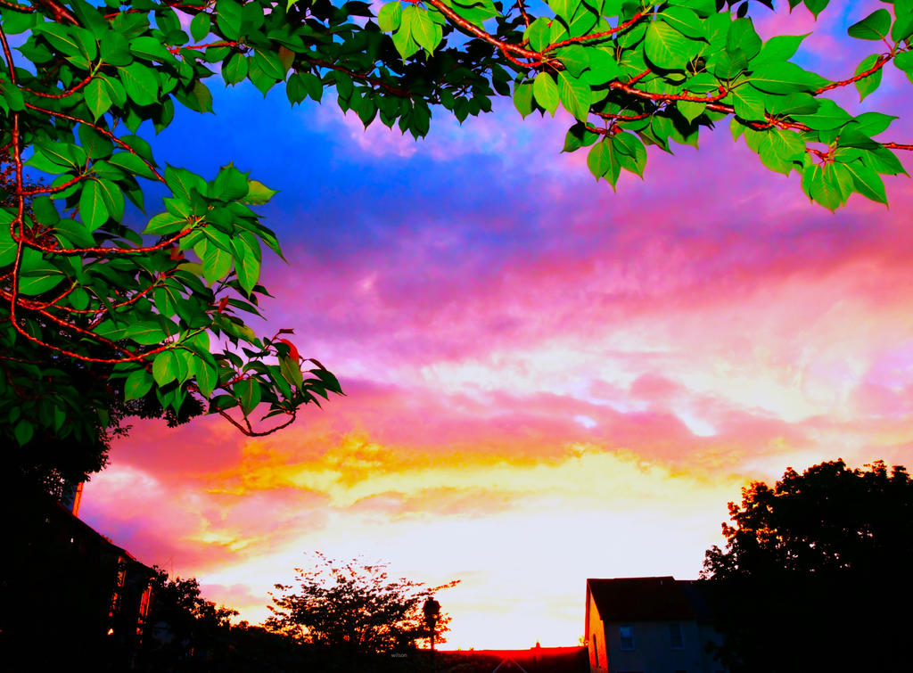 spring colorful sunset by IWilsonArt on DeviantArt
