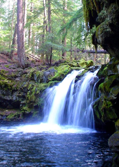 Pool White Horse: Lebih dari Sekadar Kolam Renang, Sebuah Destinasi Liburan yang Menawan