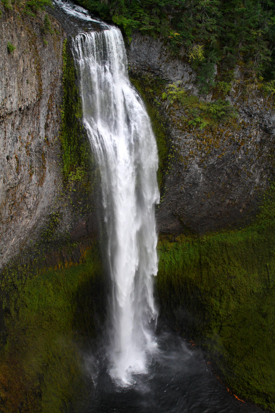 Salt Creek Falls