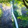 Horsetail Falls