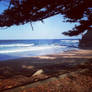 Breezy day at the beach