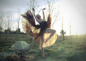 Reincarnation by mariae