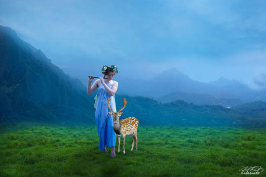 Girl And Deer