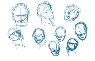 Quick Head Studies