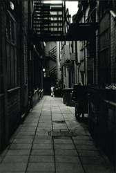 Alley