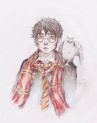 Harry Potter sketching