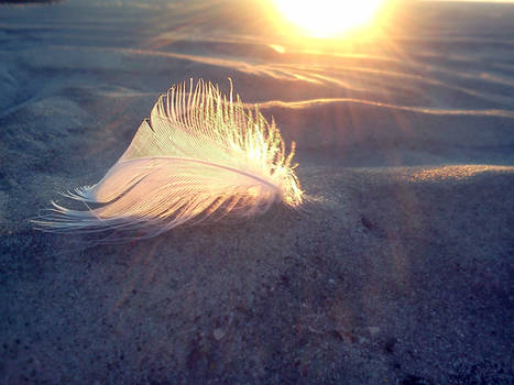 Feather